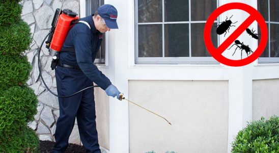 Koçarlı Uçan Haşere İlaçlama böcek ilaçlama ve haşere kontrolü — ilaclama-tr.com